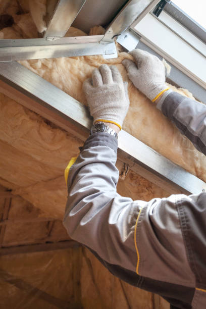 Best Insulation Maintenance and Repair in Douglas, AZ