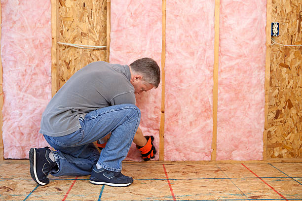 Best Insulation Installation Services in Douglas, AZ