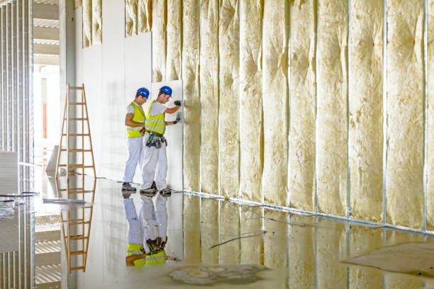 Best Insulation for Specific Applications in Douglas, AZ